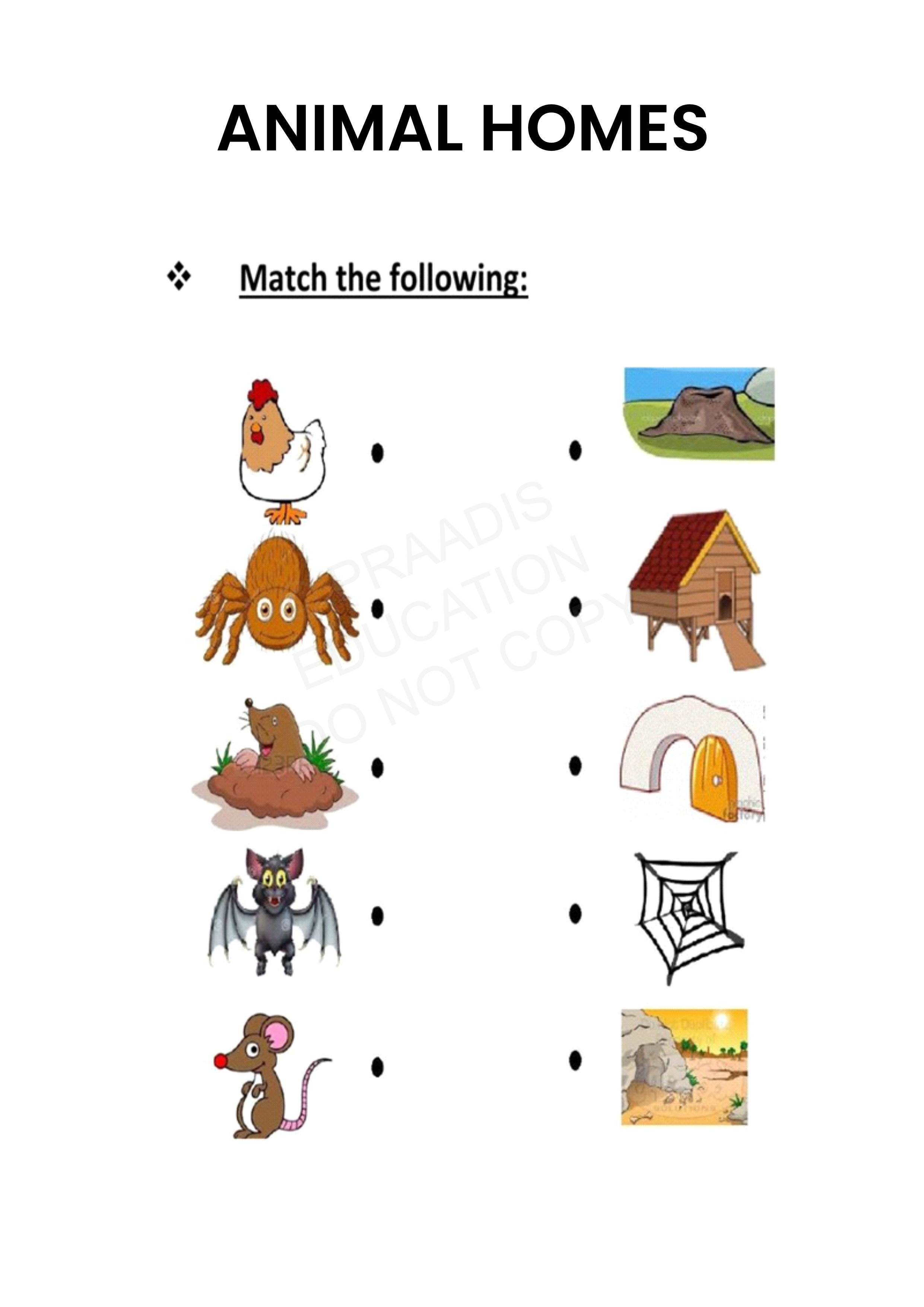 Worksheets For LKG To Grade 3 Maths English EVS Hindi Free