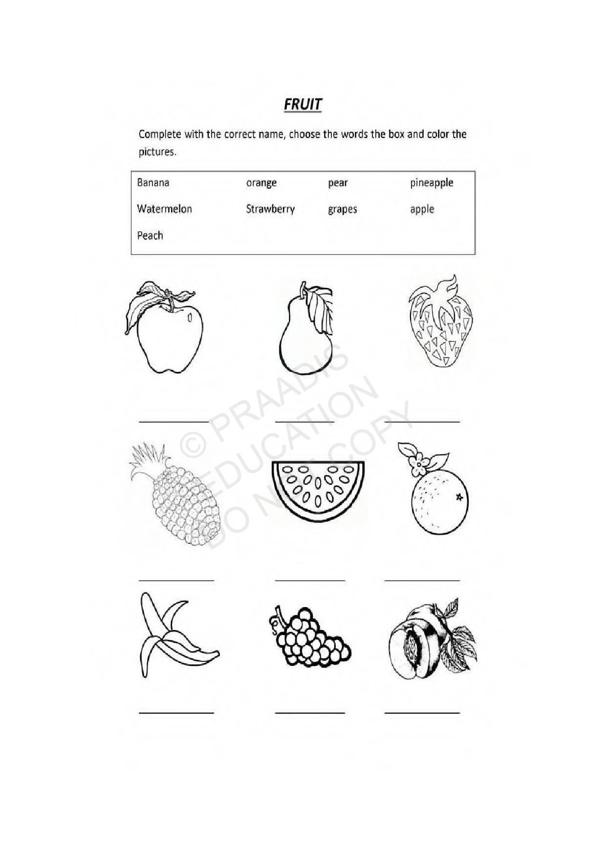 Worksheets for LKG to Grade 3 | Maths | English | EVS | Hindi – Free ...