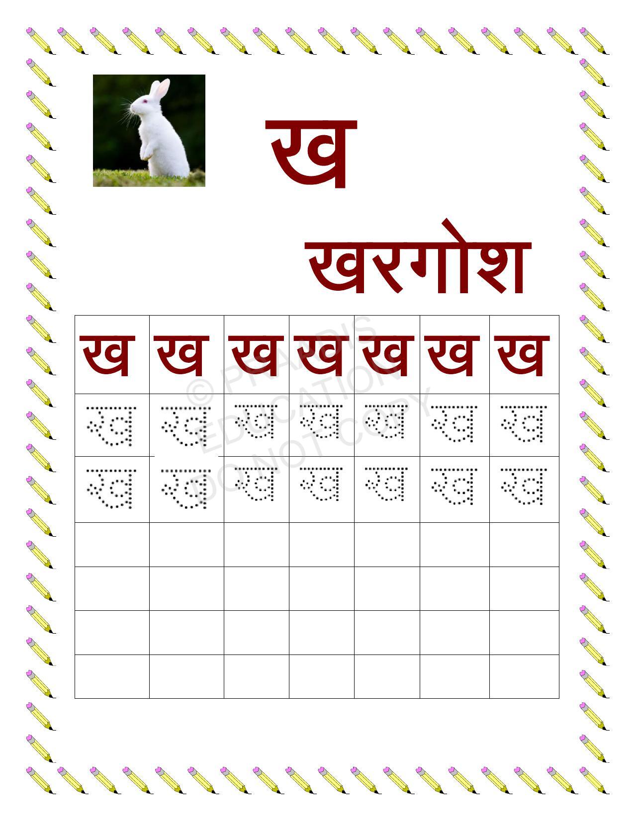 worksheets for lkg to grade 3 maths english evs hindi free pdf download