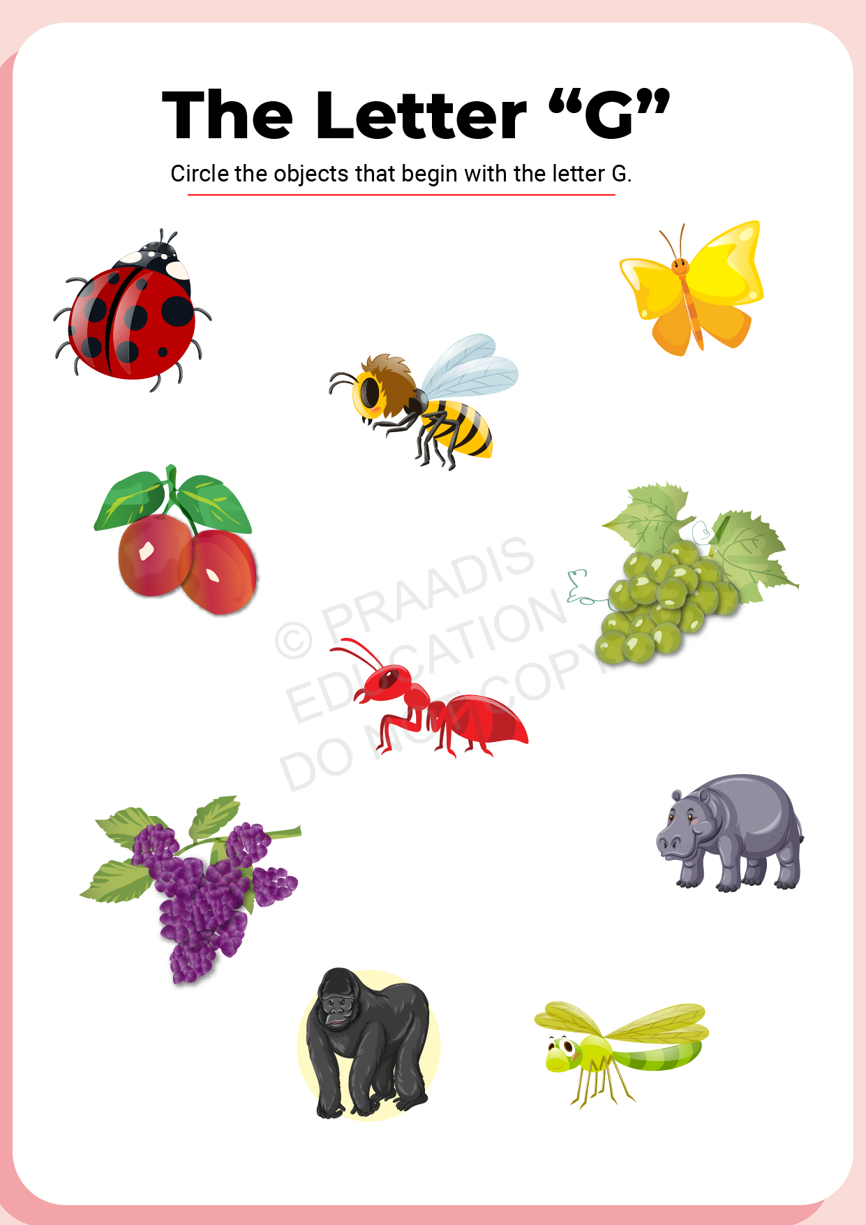 english worksheet for prep class english worksheet for prep class